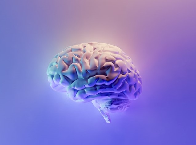 Hvilken påvirkning har sex på hjernen?